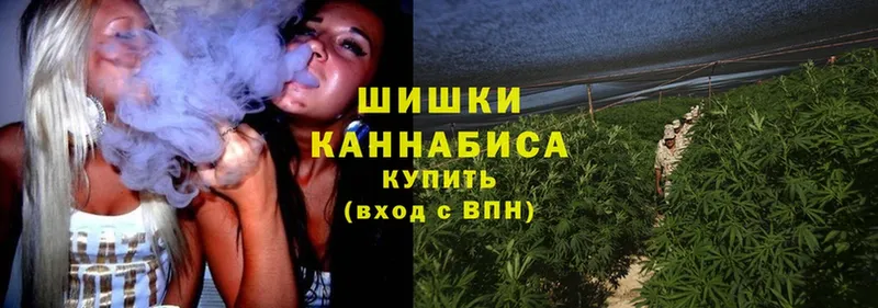 Шишки марихуана OG Kush  как найти наркотики  гидра онион  Северодвинск 